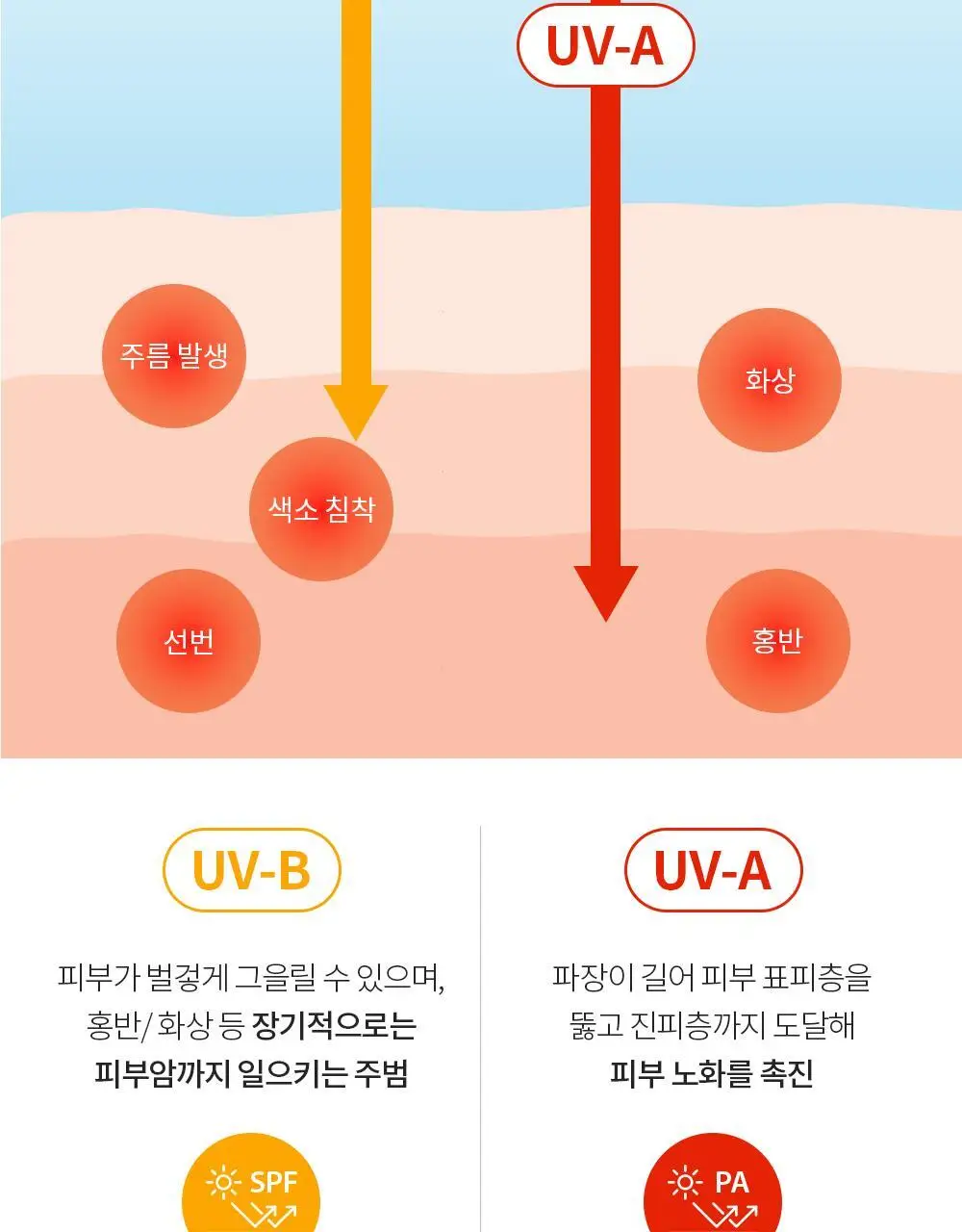 [수분 선크림] 벤튼 시카 수분 선쿠션 SPF50+/PA++++ 15g 상세페이지 57